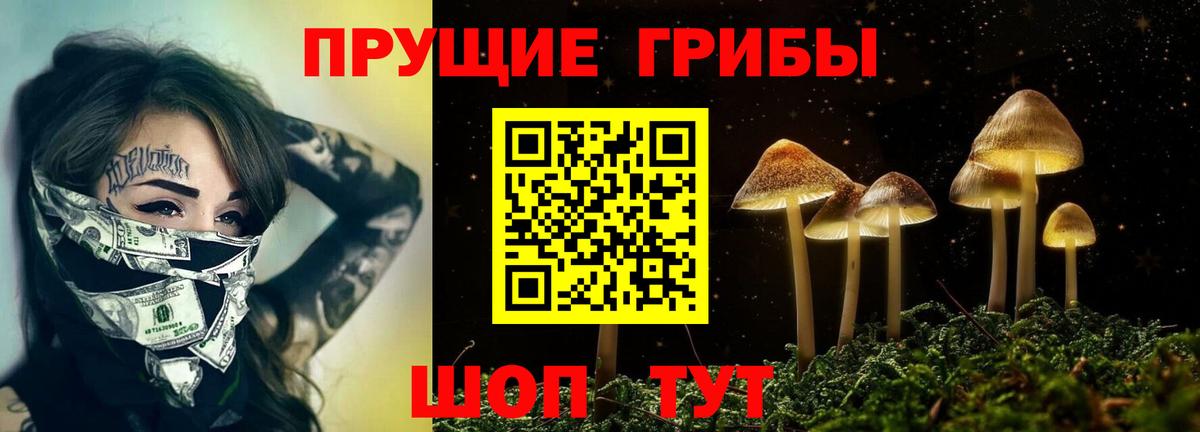 Псилоцибиновые грибы ЛСД Белово